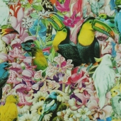 Seiko Kato - Birds and Flowers