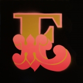 Large Single Circus Letter E Pink Gold by Ben Eine