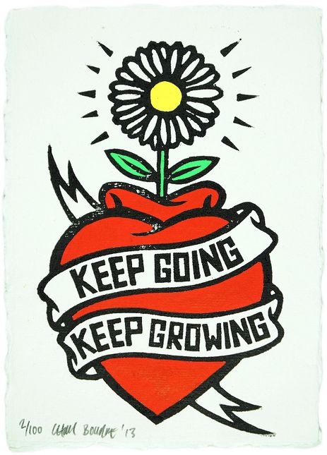 Chris Bourke - Keep Going Keep Growing